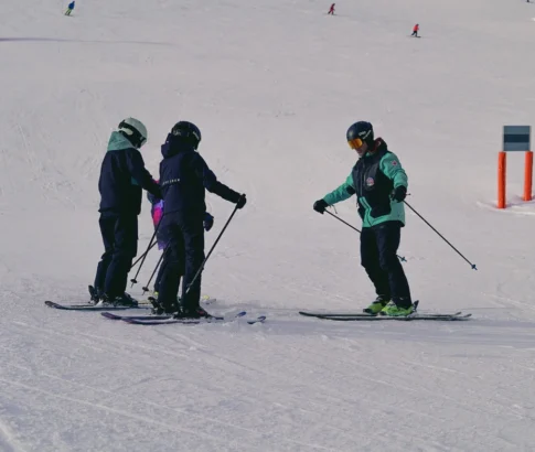 {{brizy_dc_image_alt imageSrc=